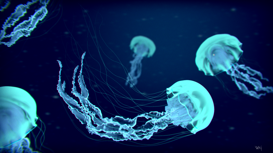 blue-jellyfish-bioluminescence-iphone-6-plus-hd-tentacles-18.jpg